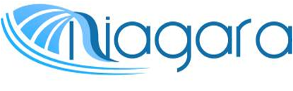 логотип niagara